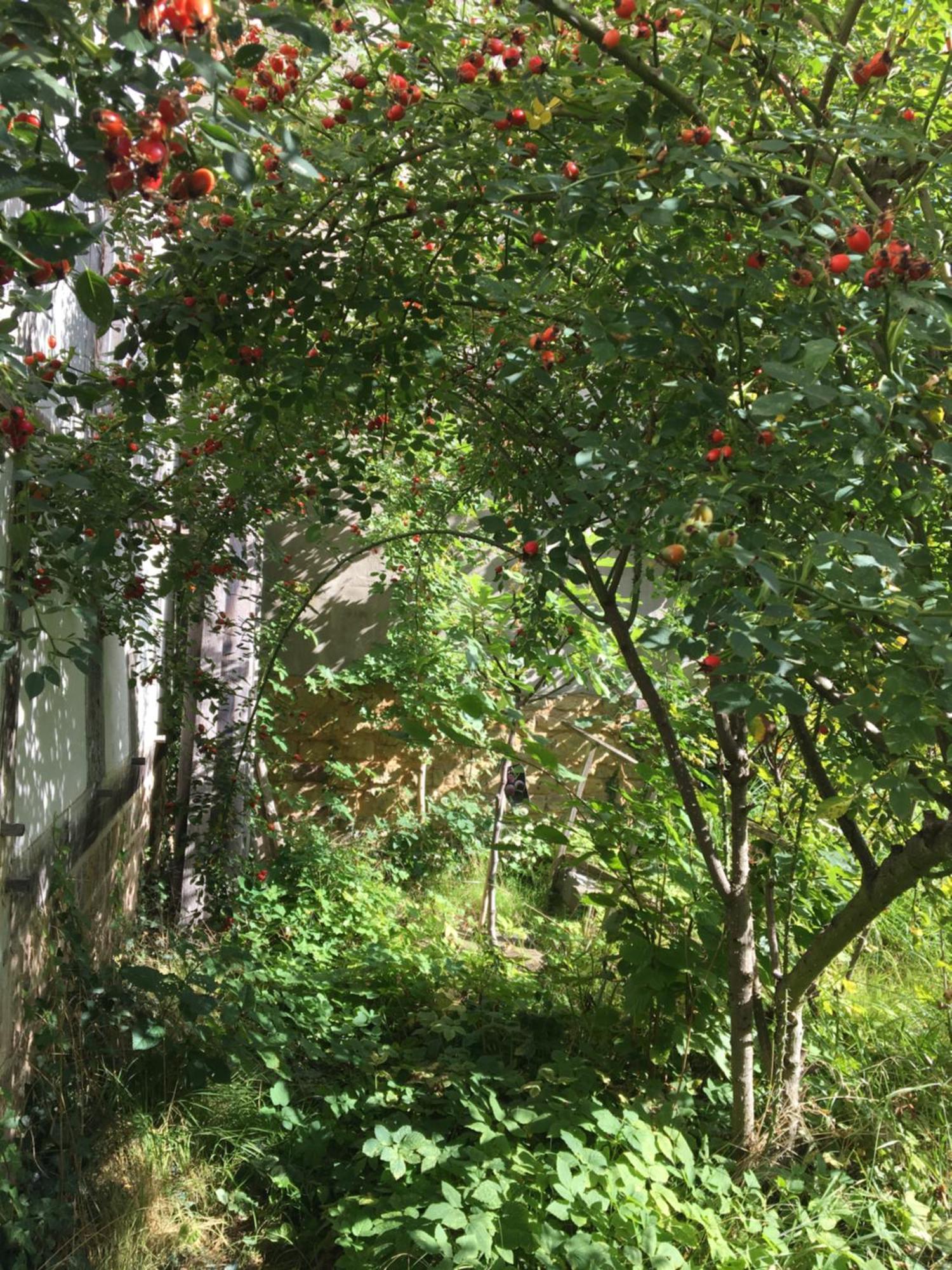 היימבאך Cherrytree Cottage 1840 מראה חיצוני תמונה