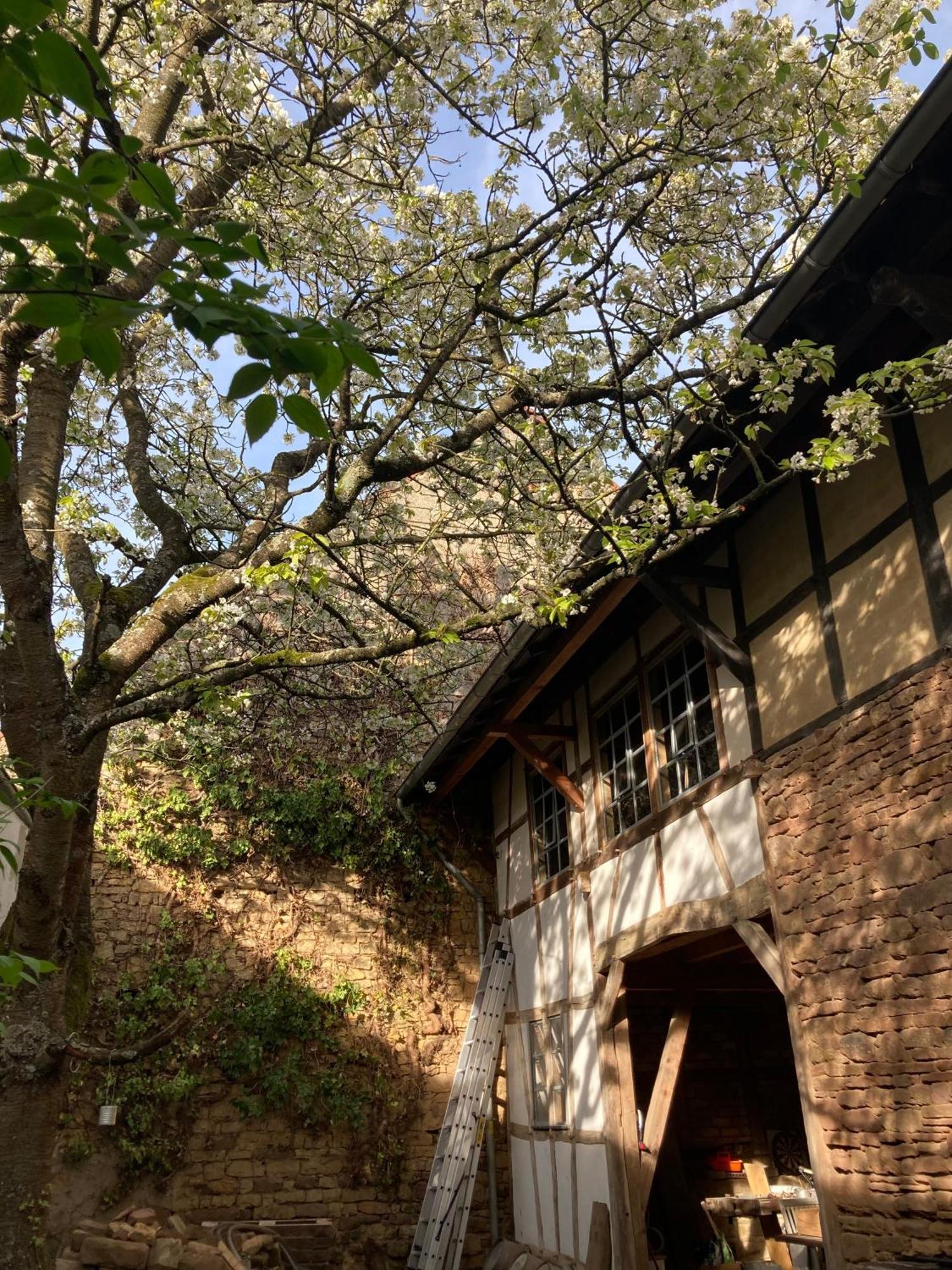 היימבאך Cherrytree Cottage 1840 מראה חיצוני תמונה