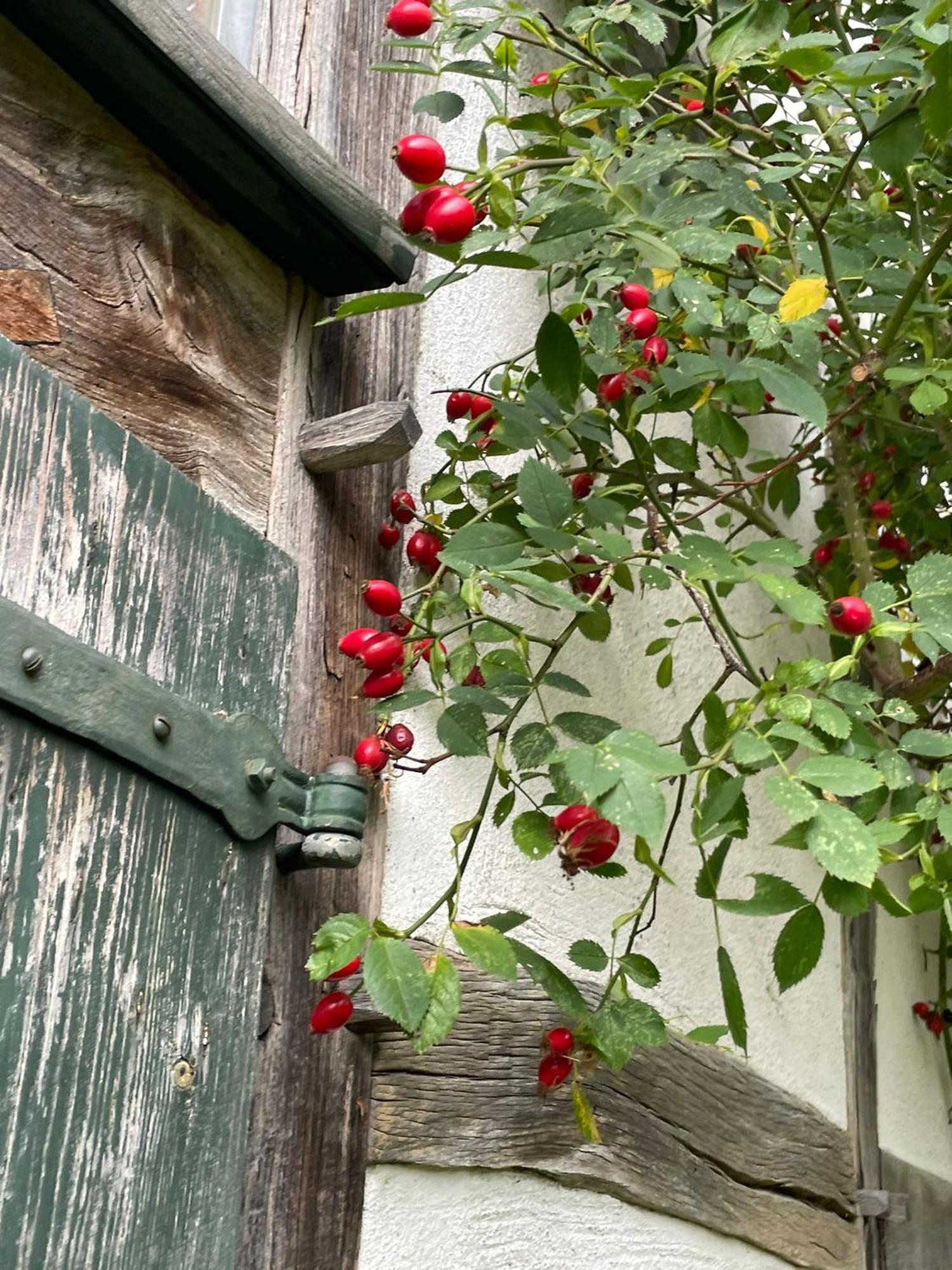 היימבאך Cherrytree Cottage 1840 מראה חיצוני תמונה
